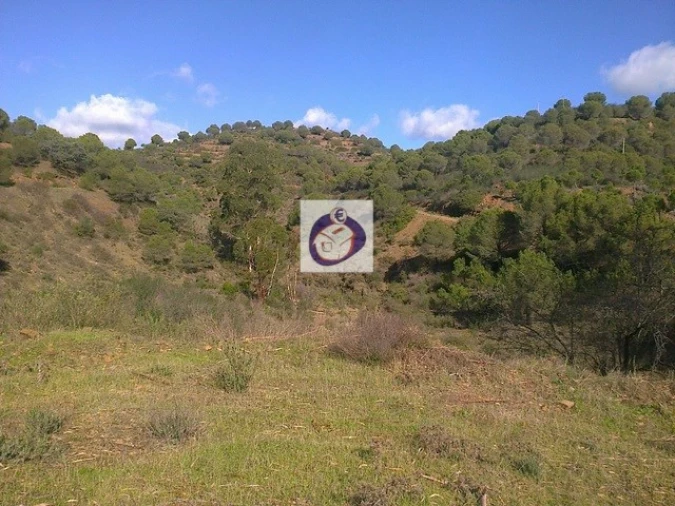 Quinta T3 para Venda em Vaqueiros Foto 9