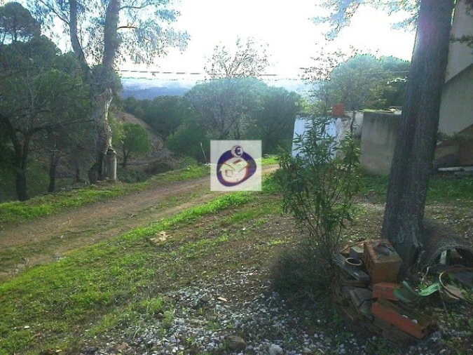 Quinta T3 para Venda em Vaqueiros Foto 11