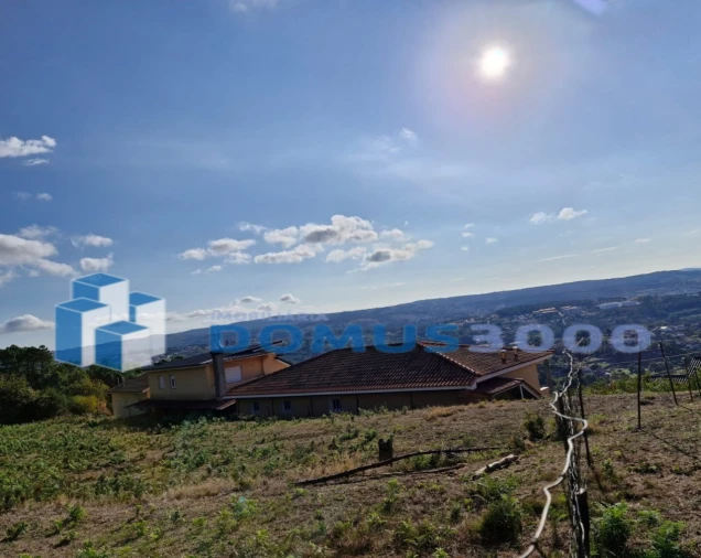 Terreno Agricola ou Rústico para Venda em Borbela e Lamas de Olo Foto 3