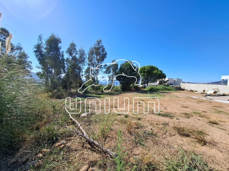 Terreno para Venda em Seixas Foto 1