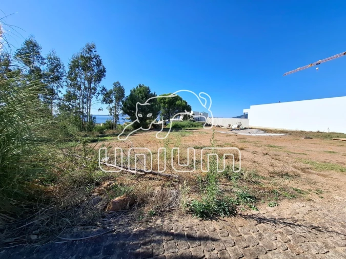 Terreno para Venda em Seixas Foto 4