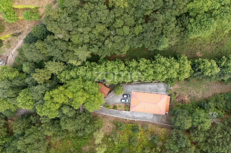 Quinta T7 para Venda em Alvite e Passos Foto 5