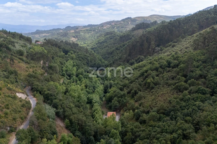 Quinta T7 para Venda em Alvite e Passos Foto 70