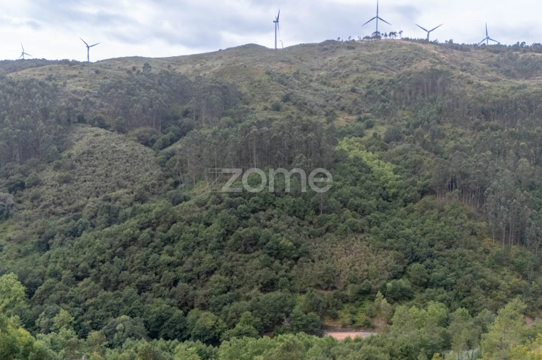 Quinta T7 para Venda em Alvite e Passos Foto 71