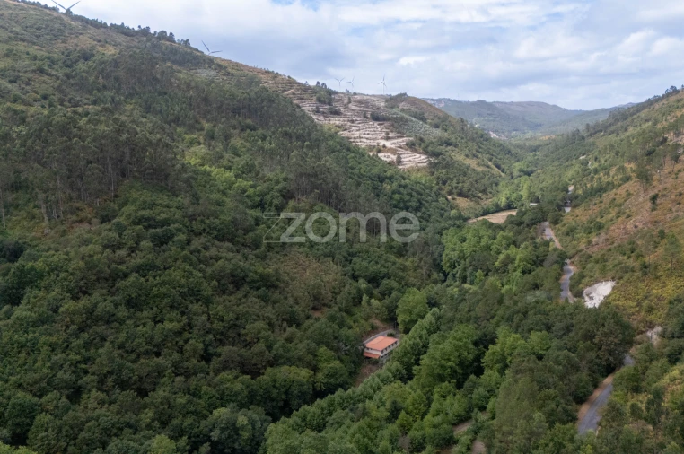 Quinta T7 para Venda em Alvite e Passos Foto 68