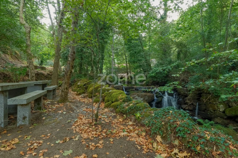 Quinta T7 para Venda em Alvite e Passos Foto 15