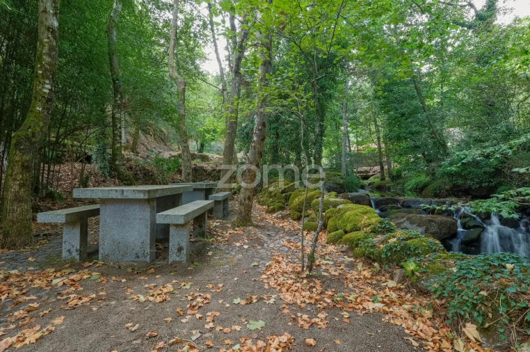Quinta T7 para Venda em Alvite e Passos Foto 16