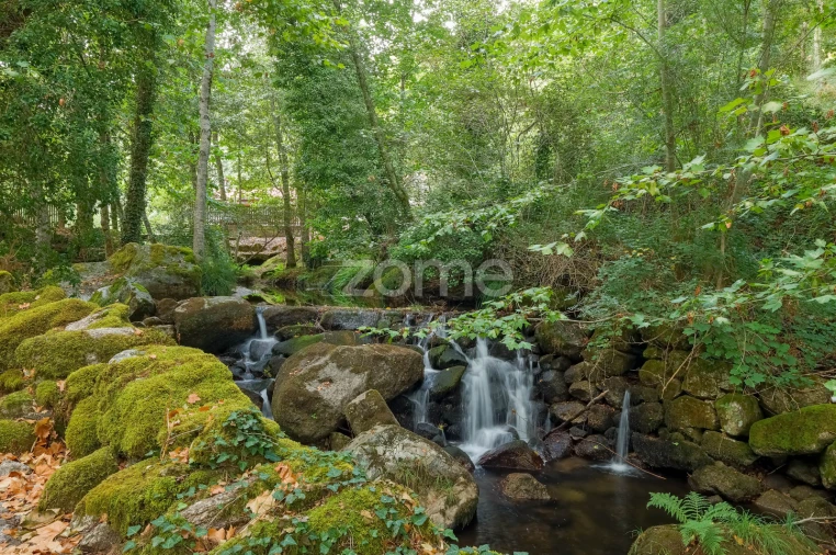 Quinta T7 para Venda em Alvite e Passos Foto 17
