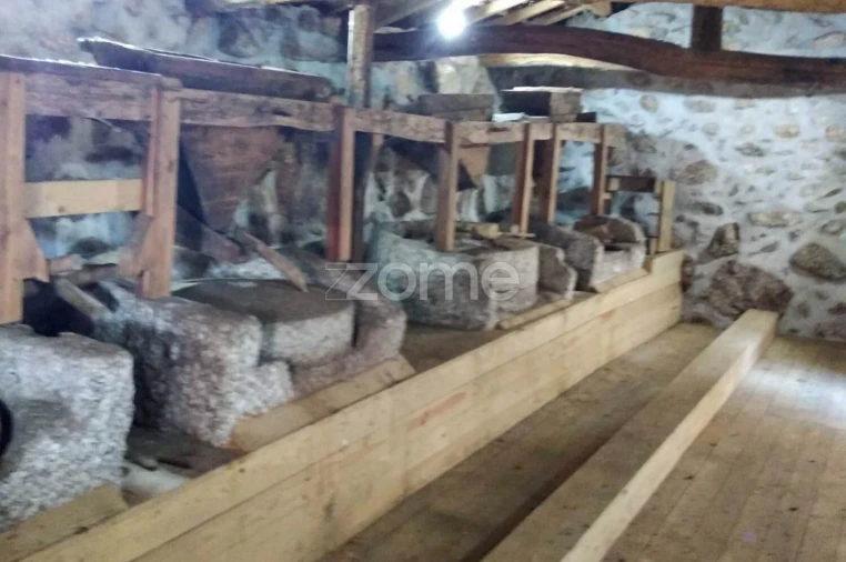 Quinta T7 para Venda em Alvite e Passos Foto 13