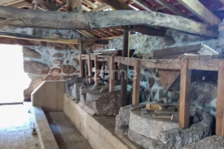 Quinta T7 para Venda em Alvite e Passos Foto 14