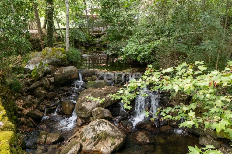 Quinta T7 para Venda em Alvite e Passos Foto 75