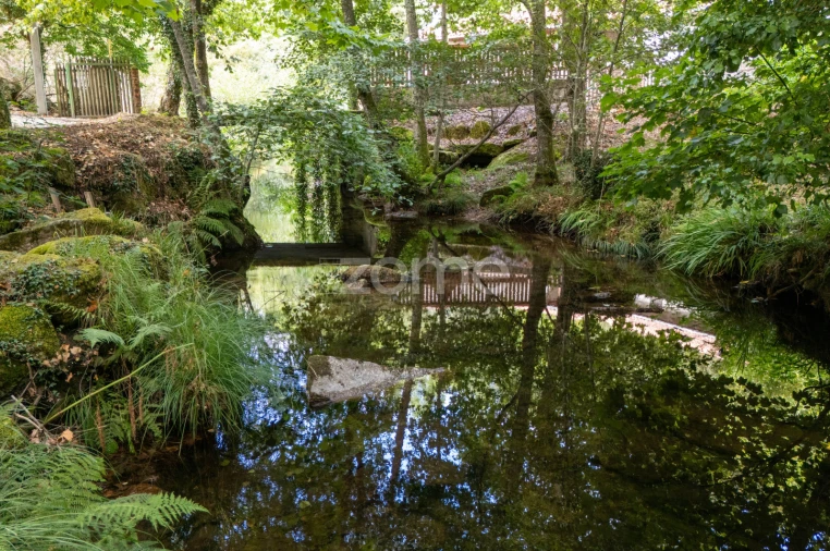 Quinta T7 para Venda em Alvite e Passos Foto 2