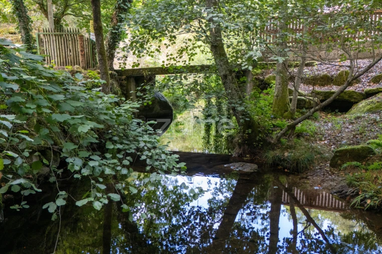 Quinta T7 para Venda em Alvite e Passos Foto 3