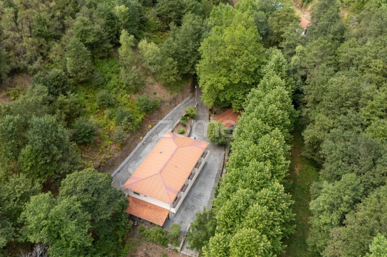 Quinta T7 para Venda em Alvite e Passos Foto 6