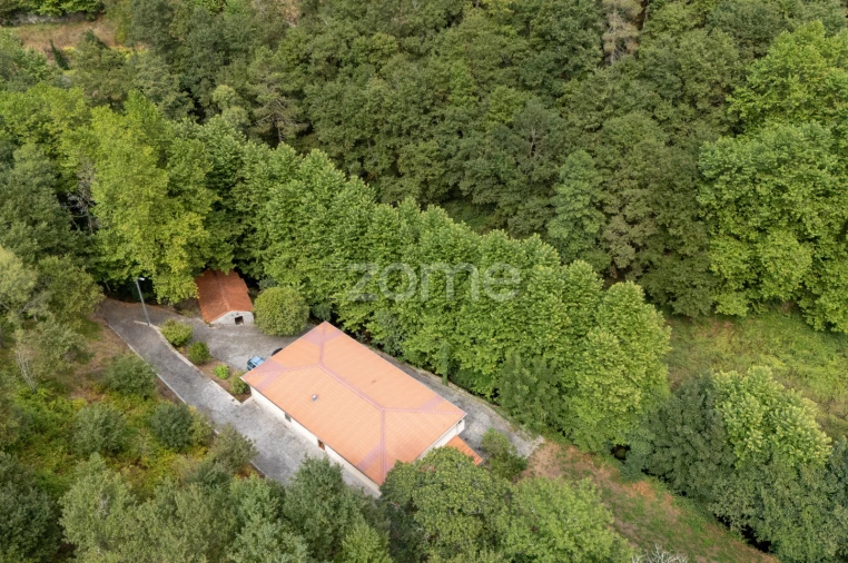 Quinta T7 para Venda em Alvite e Passos Foto 4