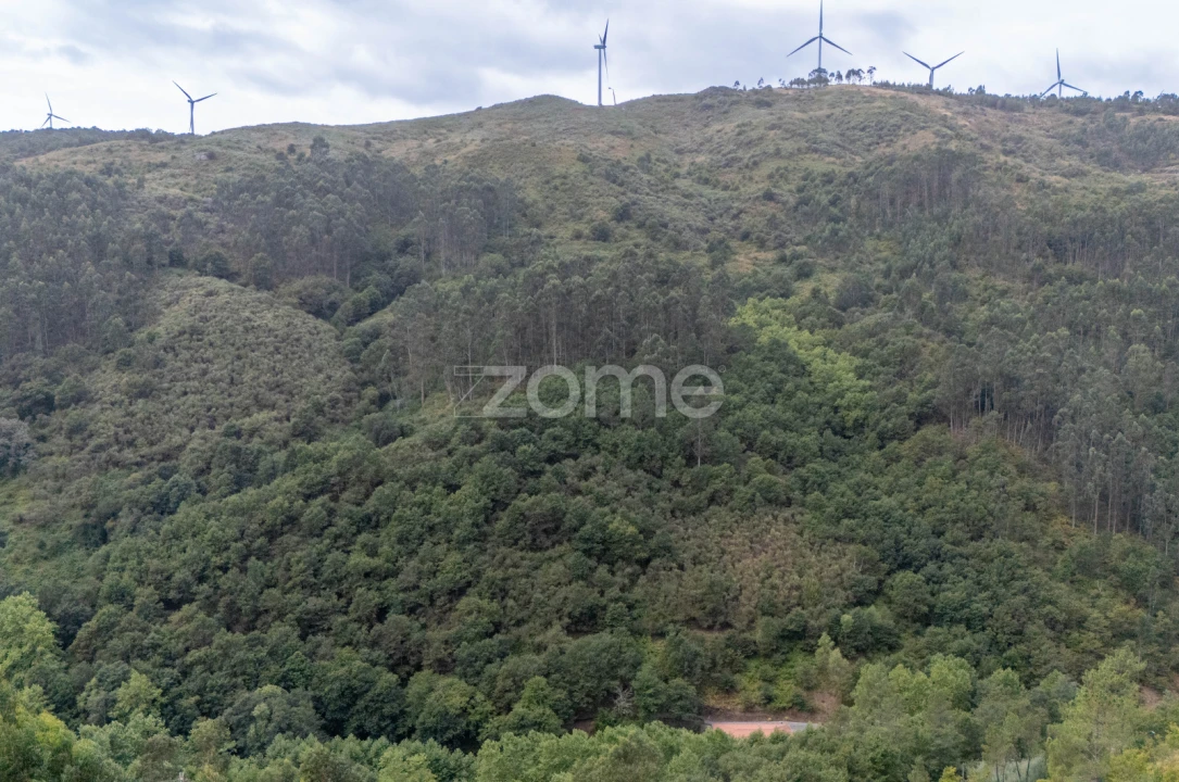 Quinta T7 para Venda em Alvite e Passos Foto 71