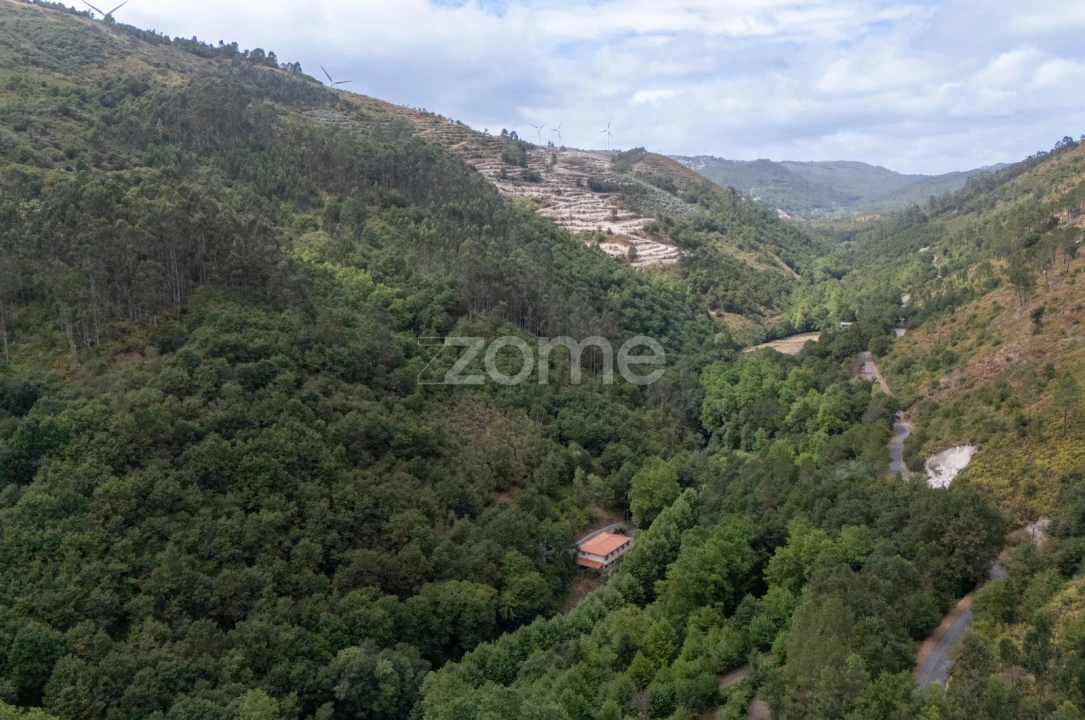 Quinta T7 para Venda em Alvite e Passos Foto 68