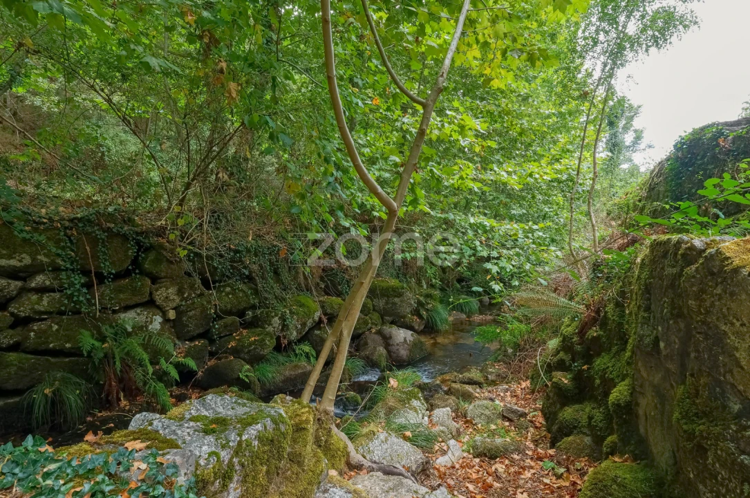 Quinta T7 para Venda em Alvite e Passos Foto 18