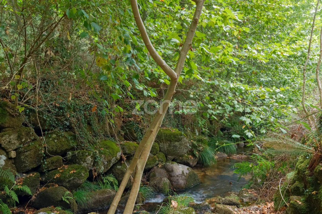 Quinta T7 para Venda em Alvite e Passos Foto 67