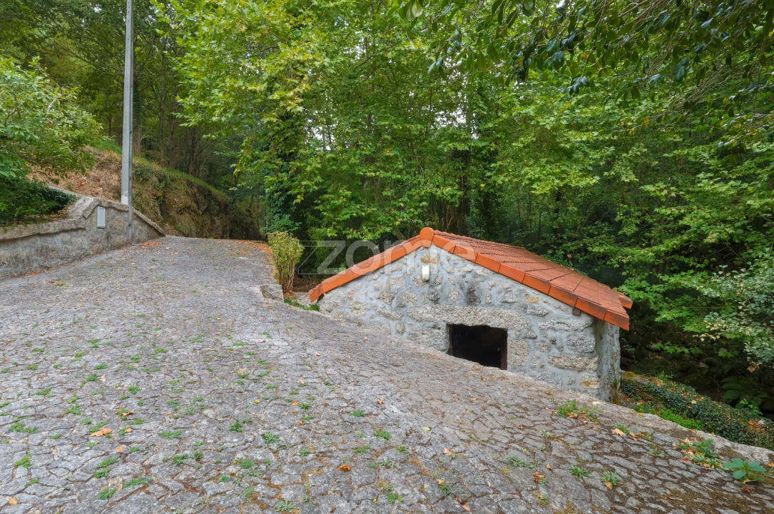 Quinta T7 para Venda em Alvite e Passos Foto 10