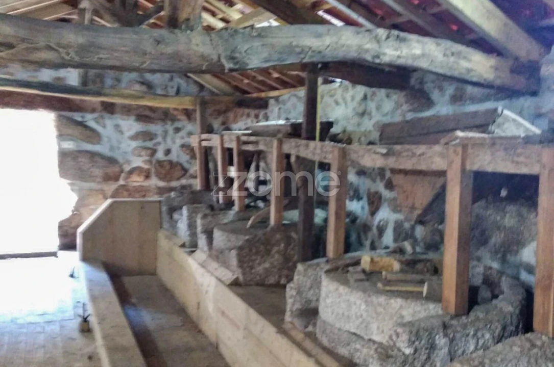 Quinta T7 para Venda em Alvite e Passos Foto 14