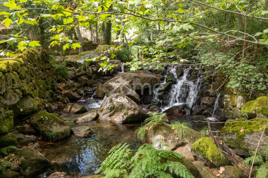 Quinta T7 para Venda em Alvite e Passos Foto 69