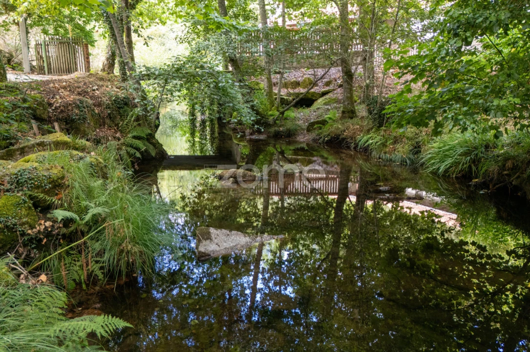 Quinta T7 para Venda em Alvite e Passos Foto 2