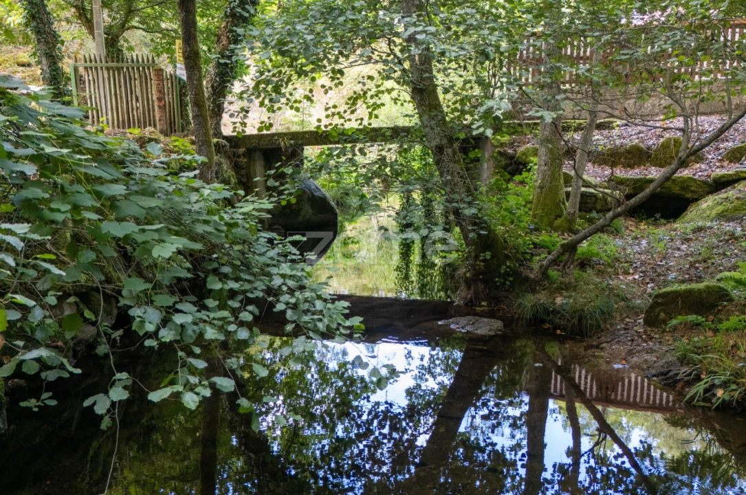 Quinta T7 para Venda em Alvite e Passos Foto 3
