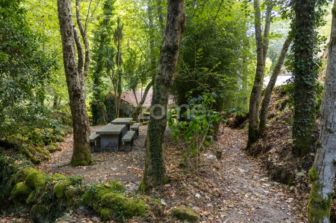 Quinta T7 para Venda em Alvite e Passos Foto 73