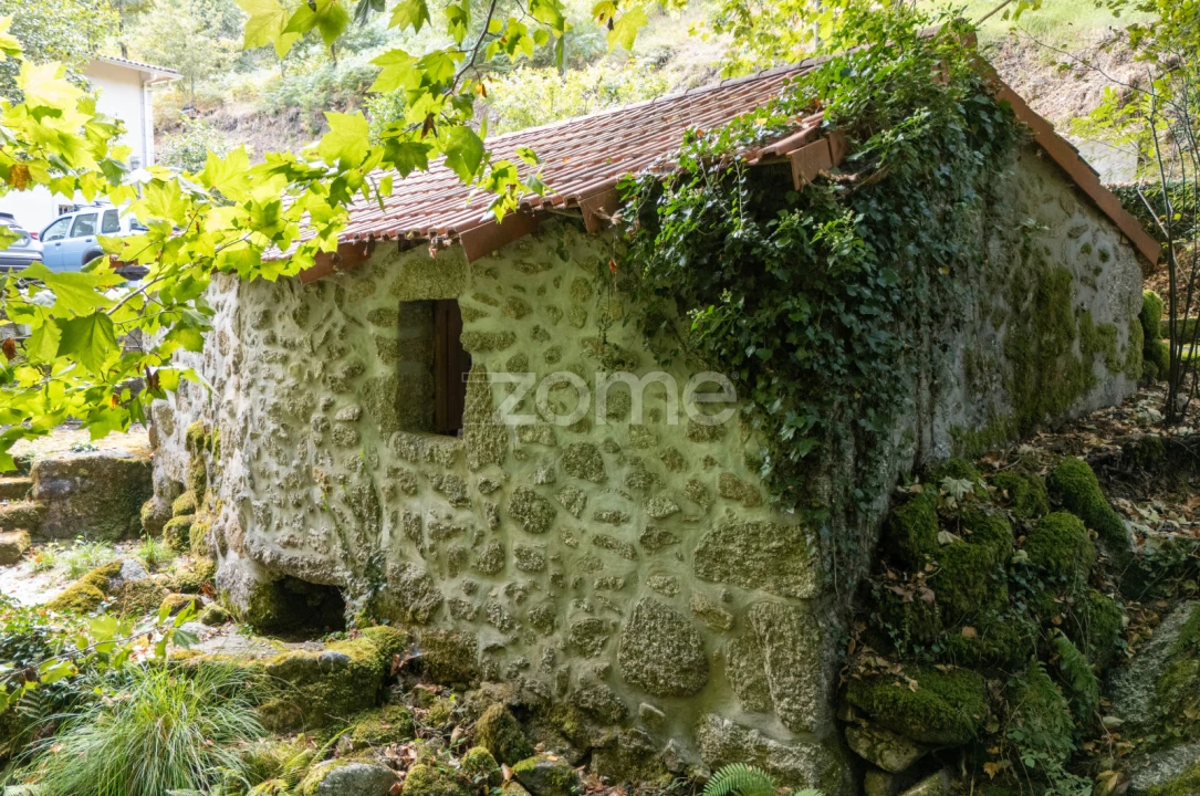 Quinta T7 para Venda em Alvite e Passos Foto 7