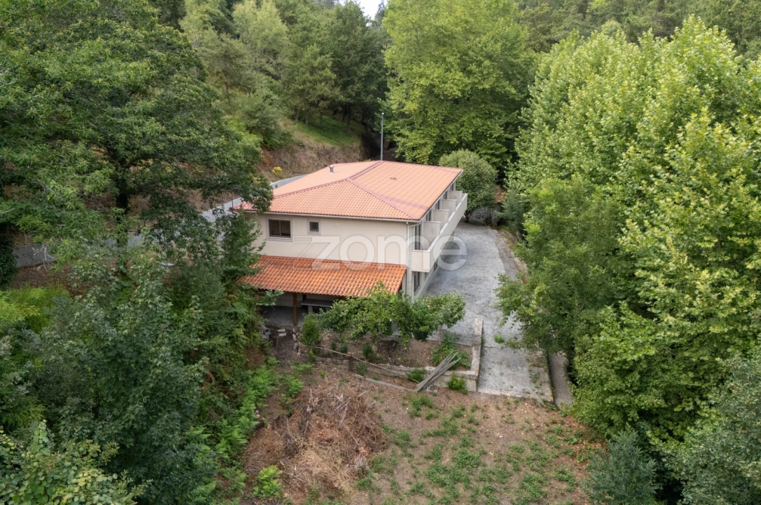 Quinta T7 para Venda em Alvite e Passos Foto 19