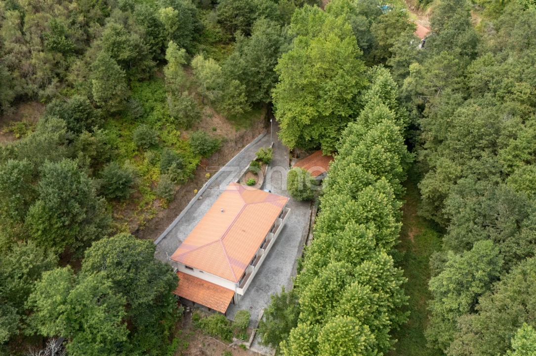 Quinta T7 para Venda em Alvite e Passos Foto 6