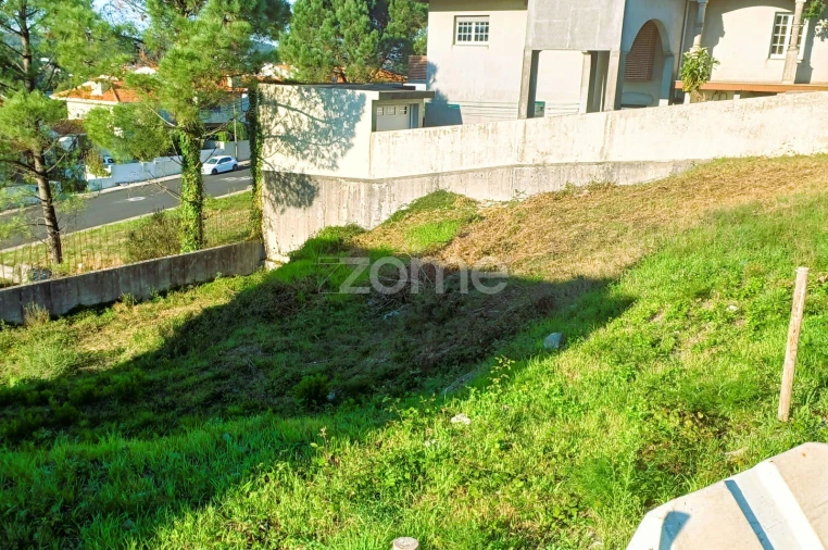 Terreno para Venda em Coronado (São Romão e São Mamede) Foto 1
