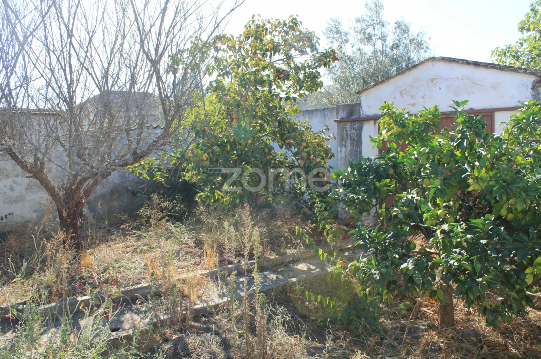 Moradia T2 para Venda em Grândola e Santa Margarida da Serra Foto 33