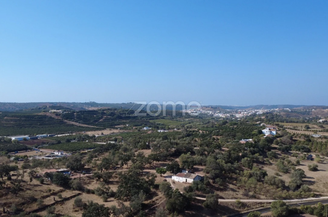 Terreno para Venda em Silves Foto 13