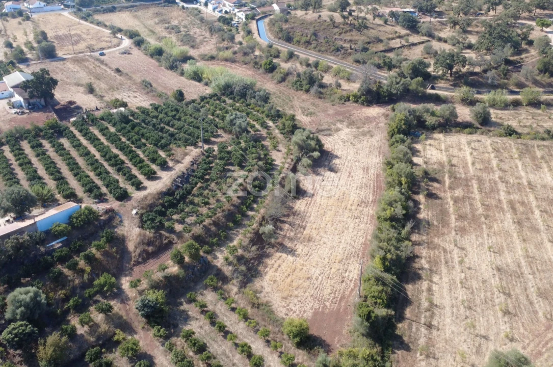 Terreno para Venda em Silves Foto 2