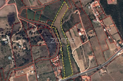 Terreno para Venda em Silves