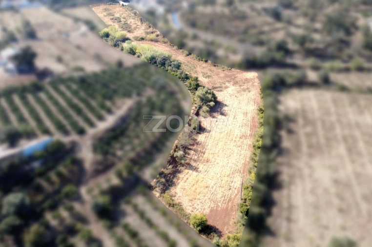 Terreno para Venda em Silves Foto 4