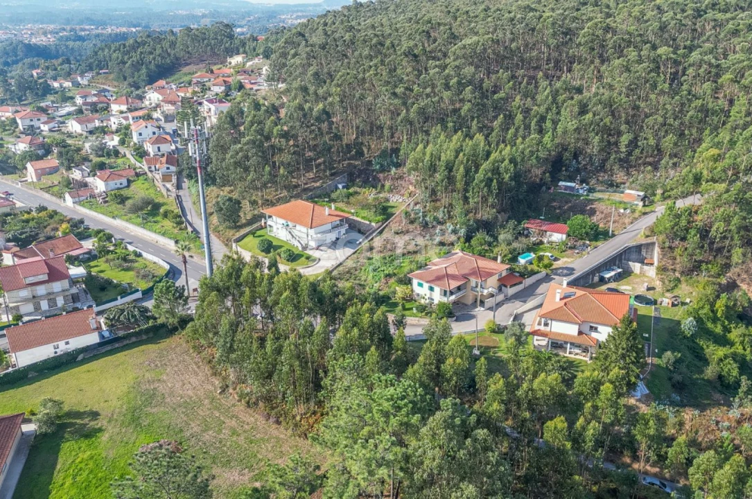 Terreno para Venda em Subportela, Deocriste e Portela Susã Foto 13
