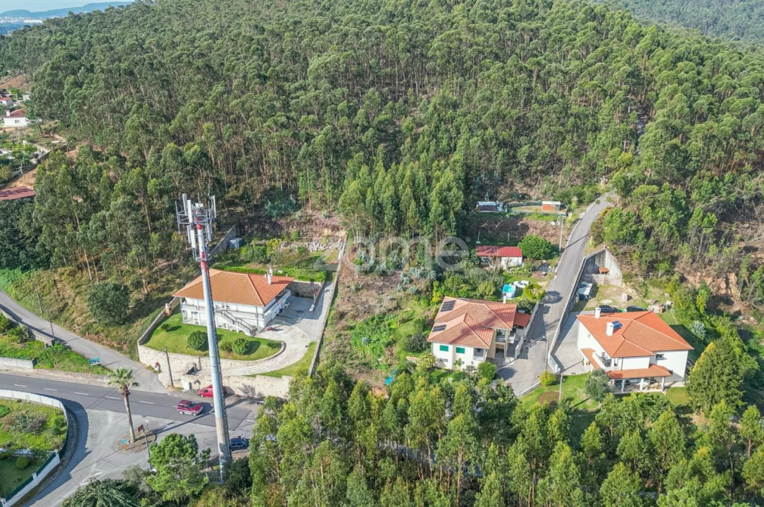 Terreno para Venda em Subportela, Deocriste e Portela Susã Foto 3
