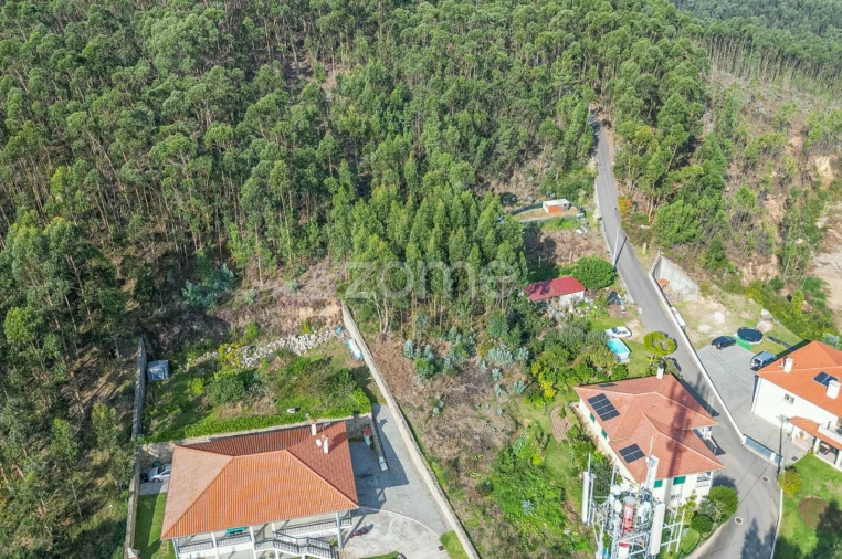 Terreno para Venda em Subportela, Deocriste e Portela Susã Foto 6