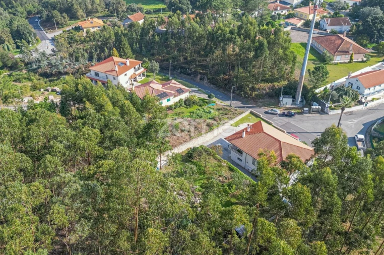 Terreno para Venda em Subportela, Deocriste e Portela Susã Foto 7