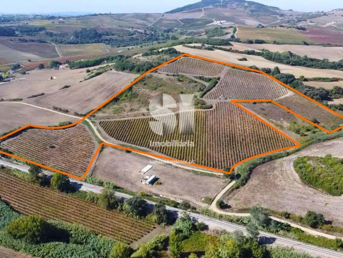 Terreno para Venda em Dois Portos e Runa Foto 3