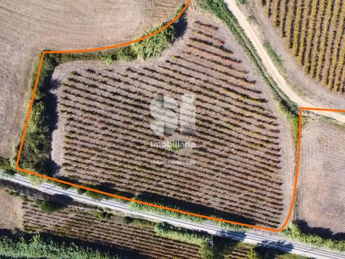 Terreno para Venda em Dois Portos e Runa Foto 5