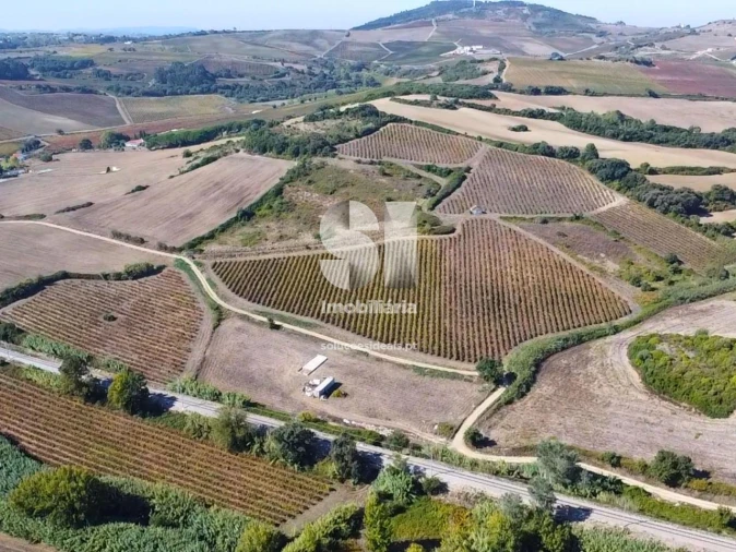 Terreno para Venda em Dois Portos e Runa Foto 8