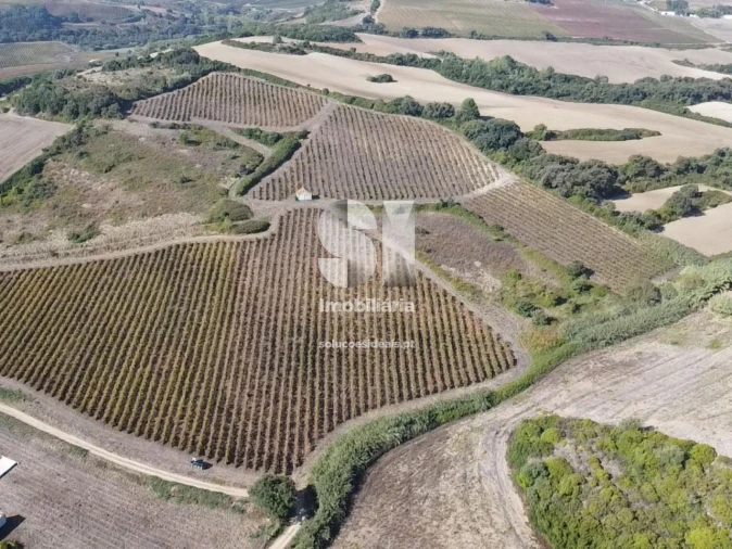 Terreno para Venda em Dois Portos e Runa Foto 10