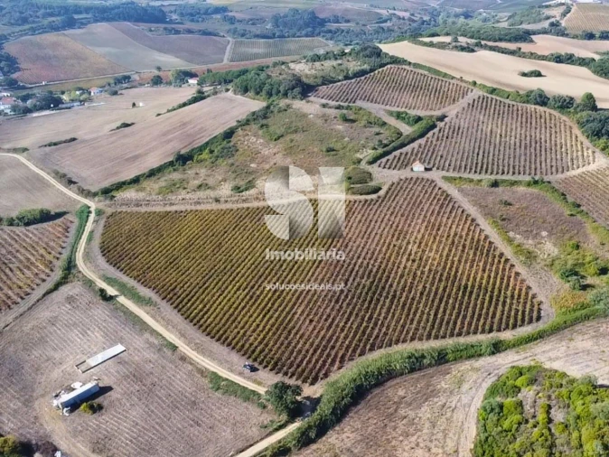 Terreno para Venda em Dois Portos e Runa Foto 11