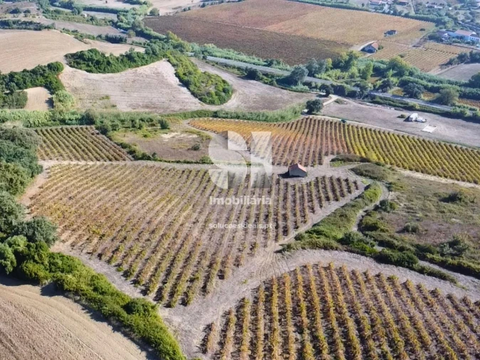 Terreno para Venda em Dois Portos e Runa Foto 17