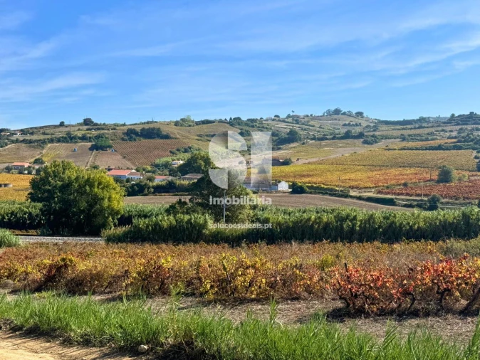 Terreno para Venda em Dois Portos e Runa Foto 19