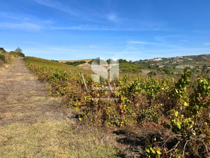 Terreno para Venda em Dois Portos e Runa Foto 20